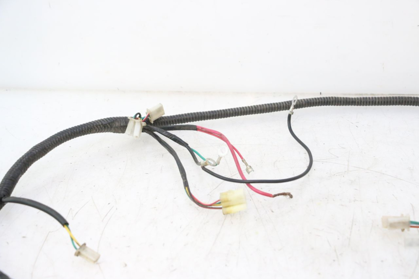 photo de WIRE HARNESS TNT MOTOR ROMA 12' 2T 50 (2007 - 2018) - Distinctive features