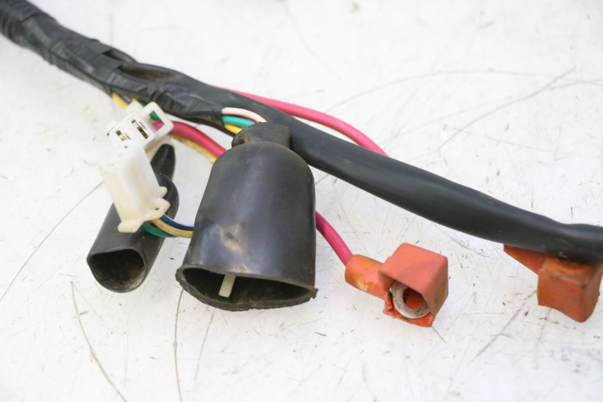 photo de WIRE HARNESS TNT MOTOR ROMA 12' 2T 50 (2007 - 2018) - Supplementary product photo