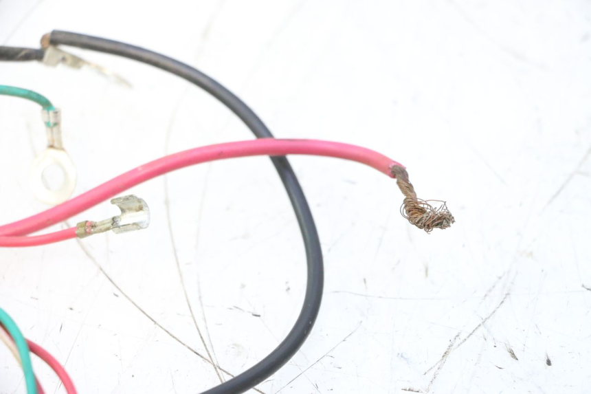 photo de WIRE HARNESS TNT MOTOR ROMA 12' 2T 50 (2007 - 2018) - Zoom on usage condition