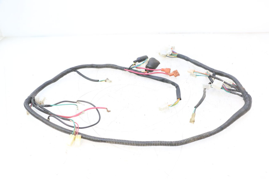 photo de WIRE HARNESS TNT MOTOR ROMA 12' 2T 50 (2007 - 2018) - Alternative perspective