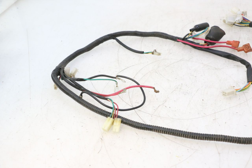 photo de WIRE HARNESS TNT MOTOR ROMA 12' 2T 50 (2007 - 2018) - Technical close-up