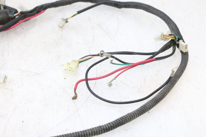 photo de WIRE HARNESS TNT MOTOR ROMA 12' 2T 50 (2007 - 2018) - Markings and original references