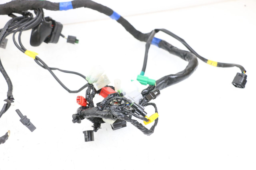 photo de WIRE HARNESS ROYAL ENFIELD CONTINENTAL GT 650 (2019 - 2024) - Fixing points details