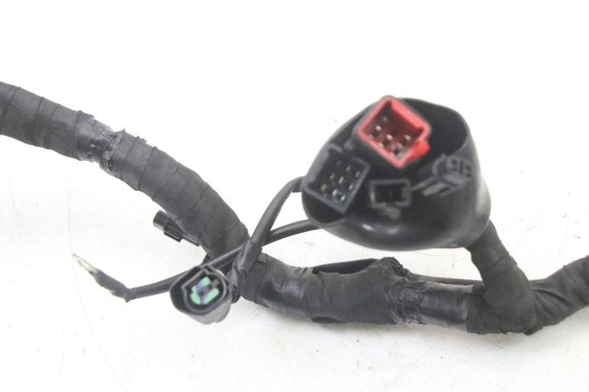 photo de WIRE HARNESS ROYAL ENFIELD HYMALAYAN 410 (2016 - 2023) - High-resolution close-up