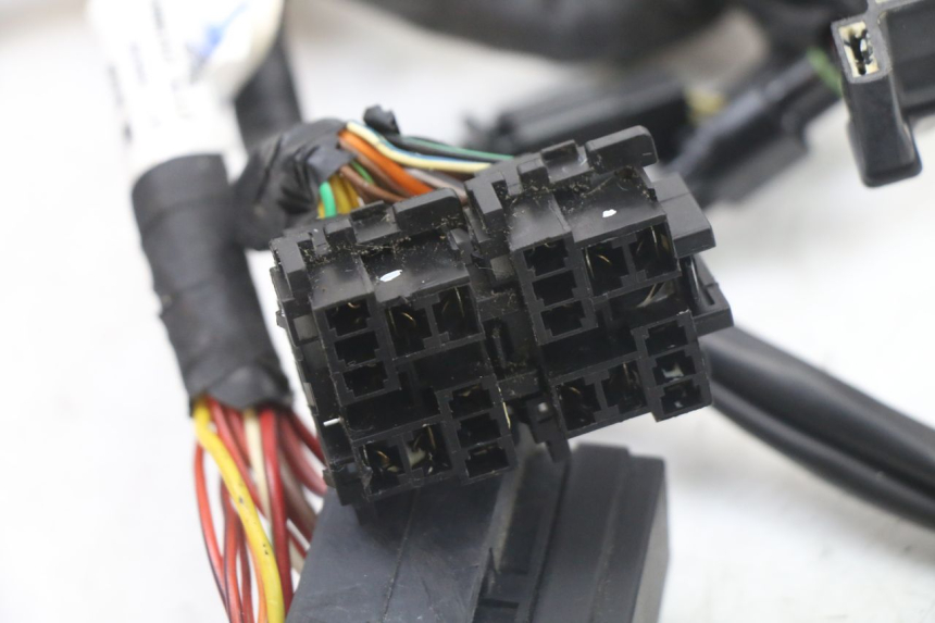 photo de WIRE HARNESS ROYAL ENFIELD HYMALAYAN 410 (2016 - 2023) - Alternative perspective