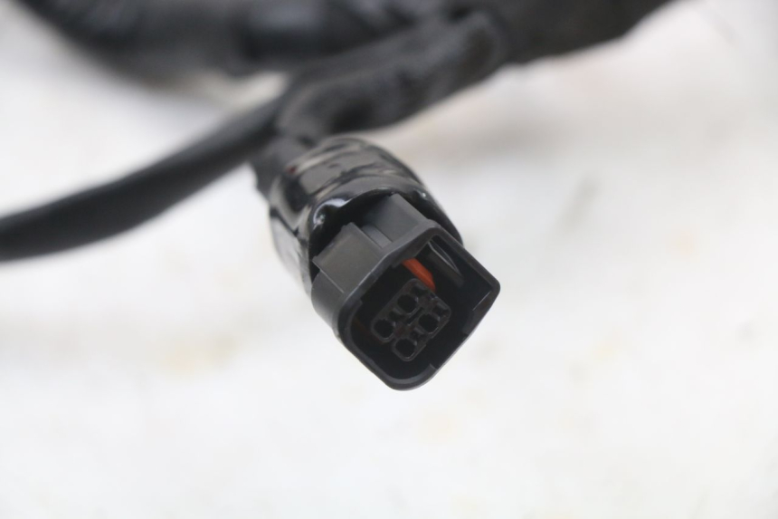 photo de WIRE HARNESS ROYAL ENFIELD SCRAM 411 (2022 - 2024) - High-resolution close-up