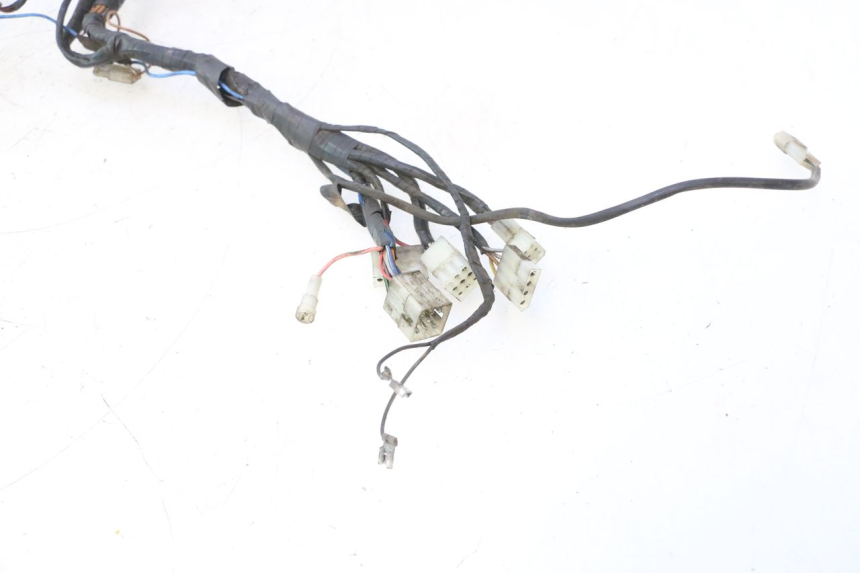 photo de WIRE HARNESS MZ RT 125 (2000 - 2008) - Technical close-up