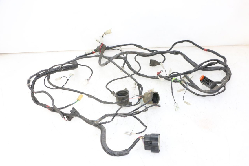 photo de WIRE HARNESS GILERA RUNNER SP 50 (2009 - 2017) - Main view