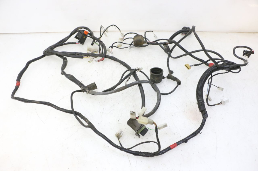 photo de WIRE HARNESS GILERA RUNNER SP 50 (2009 - 2017) - Component detail
