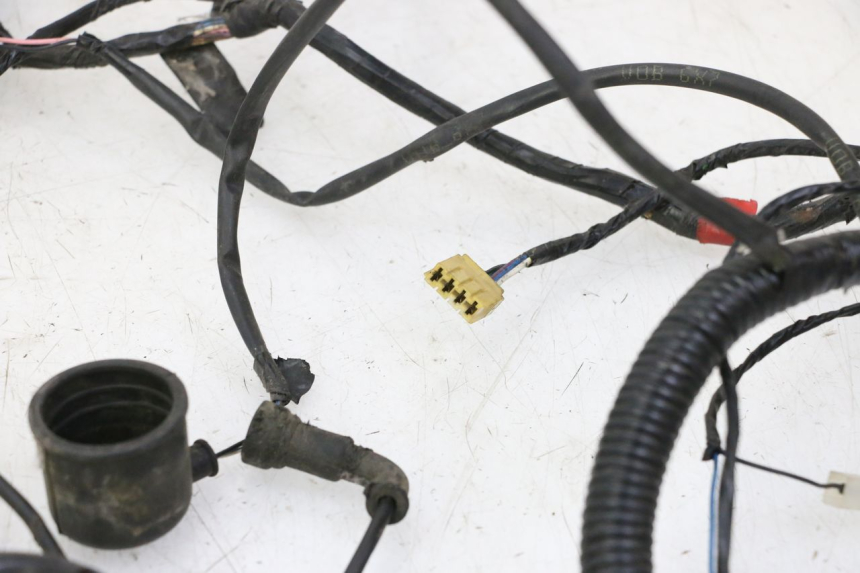 photo de WIRE HARNESS GILERA RUNNER SP 50 (2009 - 2017) - Zoom on usage condition