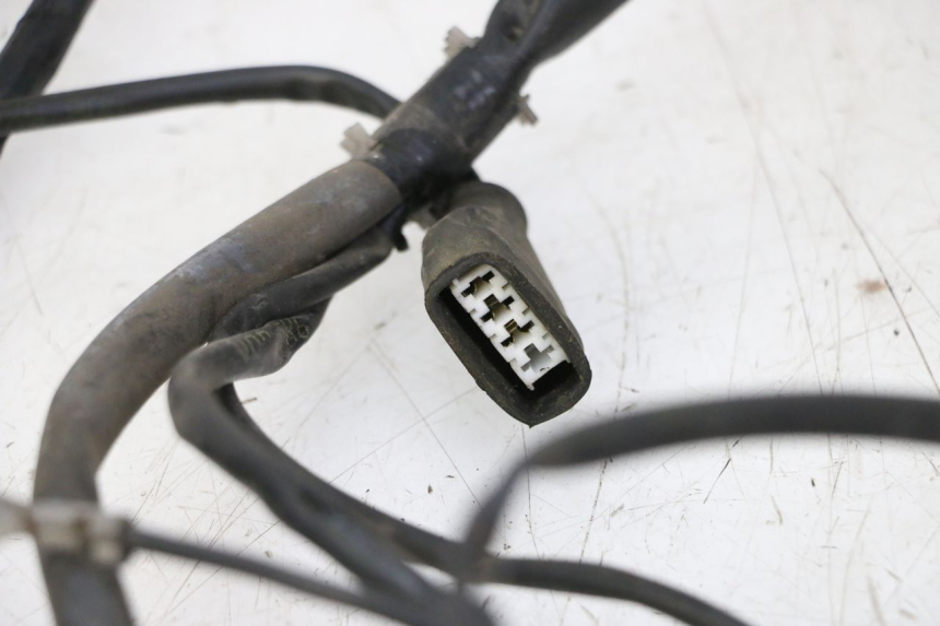 photo de WIRE HARNESS GILERA RUNNER SP 50 (2009 - 2017) - Product overview