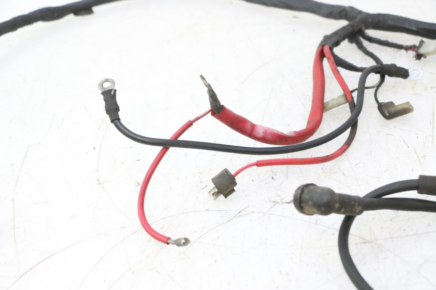 photo de WIRING HARNESS KEEWAY RY6 2T 50 (2011 - 2019) - Technical close-up