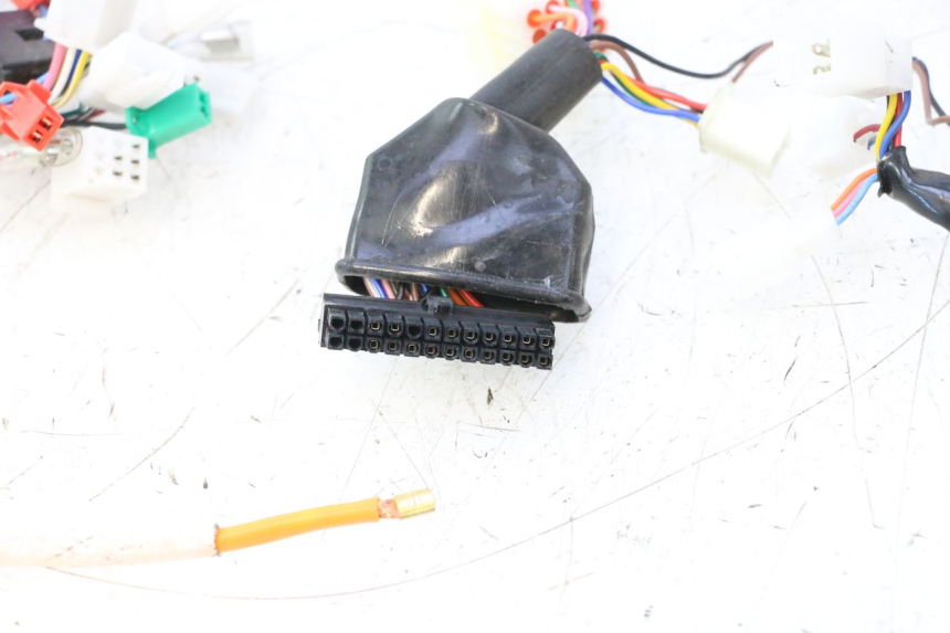 photo de WIRE HARNESS BAIKU SAKURA 1 (2021 - 2025) - Zoom on usage condition