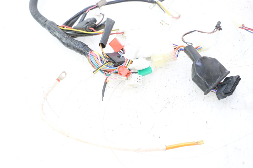 photo de WIRE HARNESS BAIKU SAKURA 1 (2021 - 2025) - Product overview
