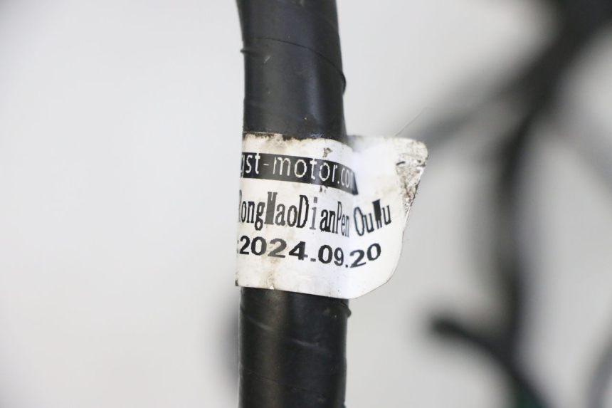 photo de WIRE HARNESS JM MOTORS SANTANA EVO 50 (2024 - 2026) - Alternative perspective