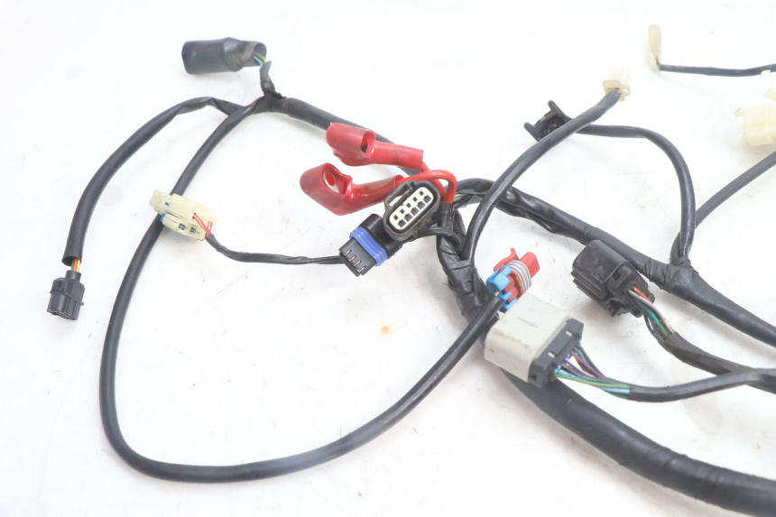 photo de WIRE HARNESS JM MOTORS SANTANA EVO 50 (2024 - 2026) - Component detail
