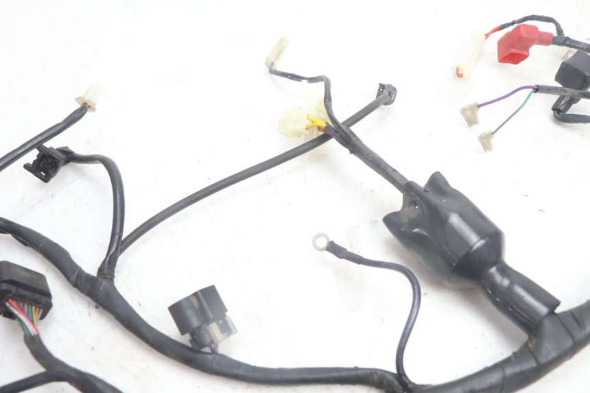 photo de WIRE HARNESS JM MOTORS SANTANA EVO 50 (2024 - 2026) - Zoom on usage condition