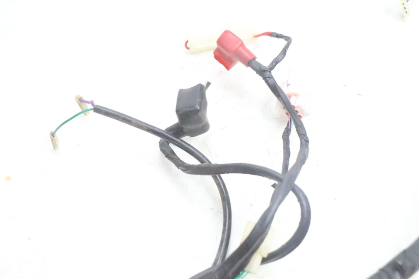 photo de WIRE HARNESS JM MOTORS SANTANA EVO 50 (2024 - 2026) - Alternative perspective