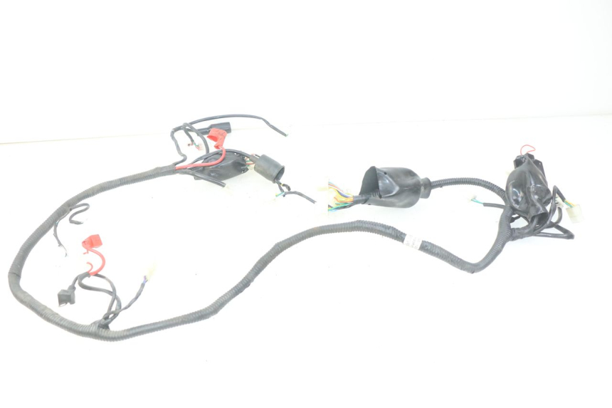 photo de WIRING HARNESS JM MOTORS SANTANA 50 (2014 - 2023) - Alternative perspective