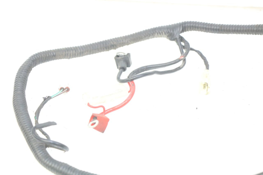 photo de WIRING HARNESS JM MOTORS SANTANA 50 (2014 - 2023) - Surface and material condition