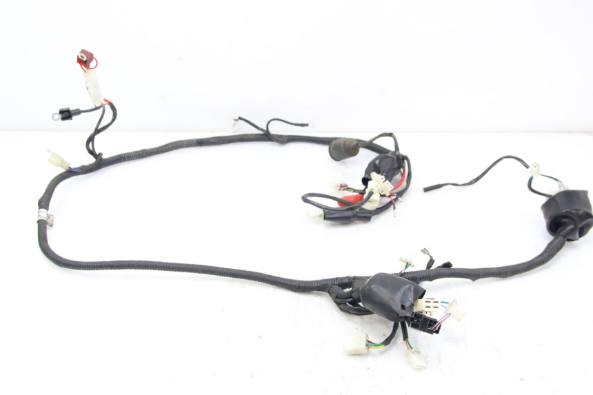 photo de WIRING HARNESS JM MOTORS SANTANA 50 (2014 - 2023) - Main view