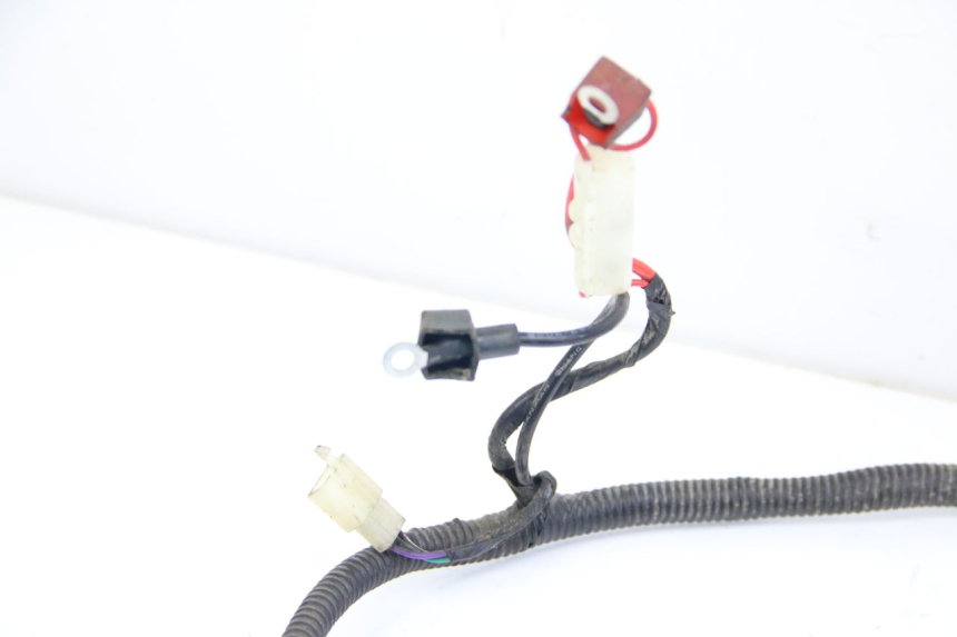photo de WIRING HARNESS JM MOTORS SANTANA 50 (2014 - 2023) - Product overview
