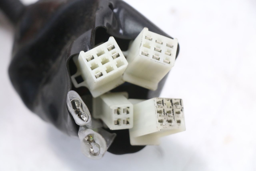 photo de WIRING HARNESS JM MOTORS SANTANA 50 (2014 - 2023) - Component detail