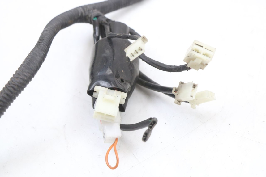 photo de WIRING HARNESS JM MOTORS SANTANA 50 (2014 - 2023) - Zoom on usage condition