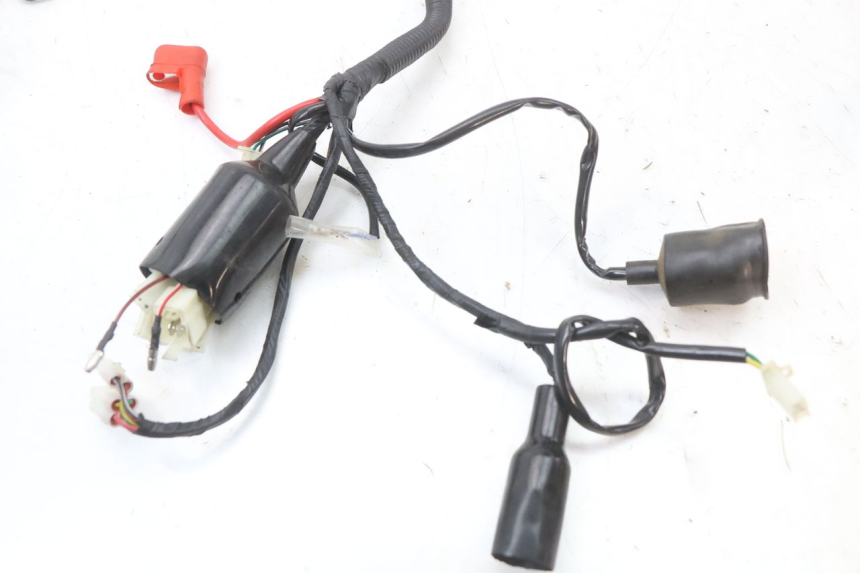 photo de WIRING HARNESS JM MOTORS SANTANA 50 (2014 - 2023) - Surface and material condition