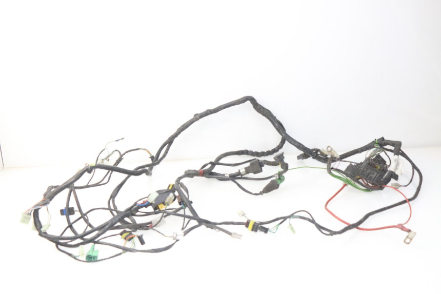 photo de WIRE HARNESS PEUGEOT SATELIS 300 (2012 - 2015) - Main view