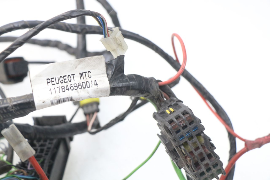 photo de WIRE HARNESS PEUGEOT SATELIS 300 (2012 - 2015) - Surface and material condition