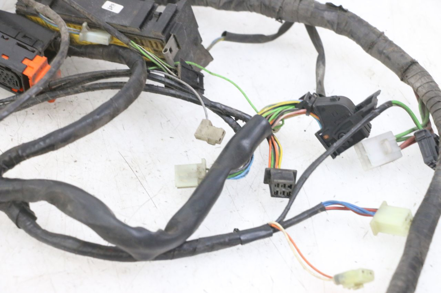 photo de WIRE HARNESS PEUGEOT SATELIS 125 (2013 - 2018) - Technical close-up