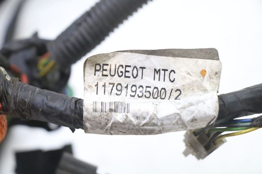 photo de WIRE HARNESS PEUGEOT SATELIS 125 (2013 - 2018) - Component detail