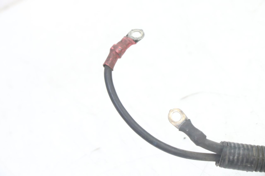 photo de WIRE HARNESS PEUGEOT SATELIS 125 (2013 - 2018) - Distinctive features