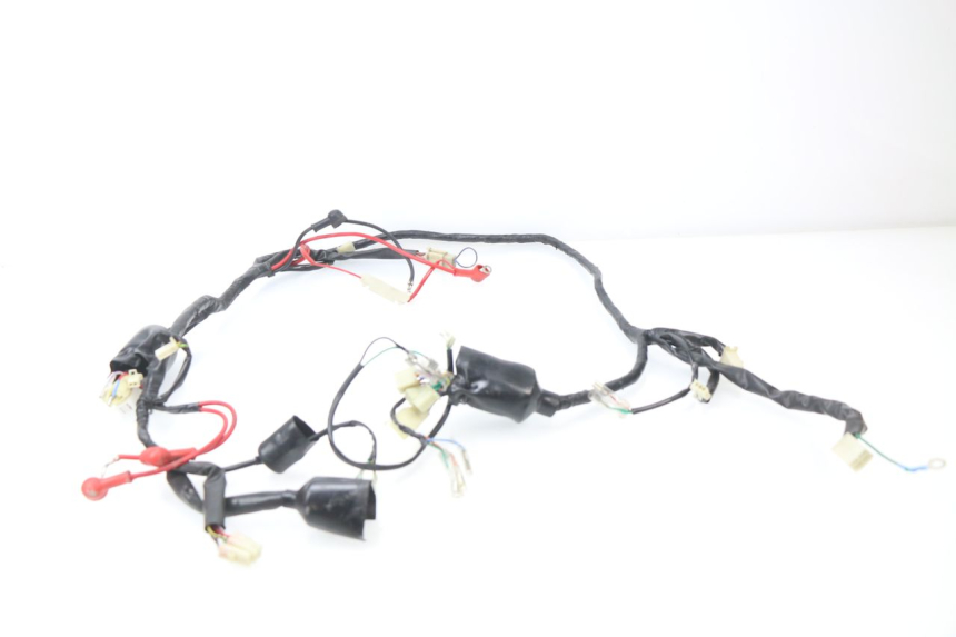 photo de WIRE HARNESS JM MOTORS SC 4T 50 (2018 - 2021) - Technical close-up