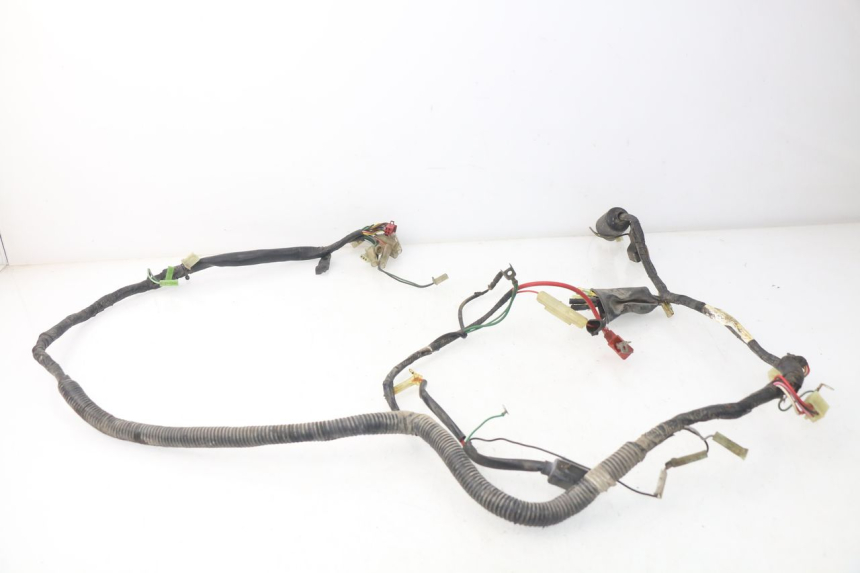 photo de WIRE HARNESS PEUGEOT SC 50 (1988 - 1992) - Component detail