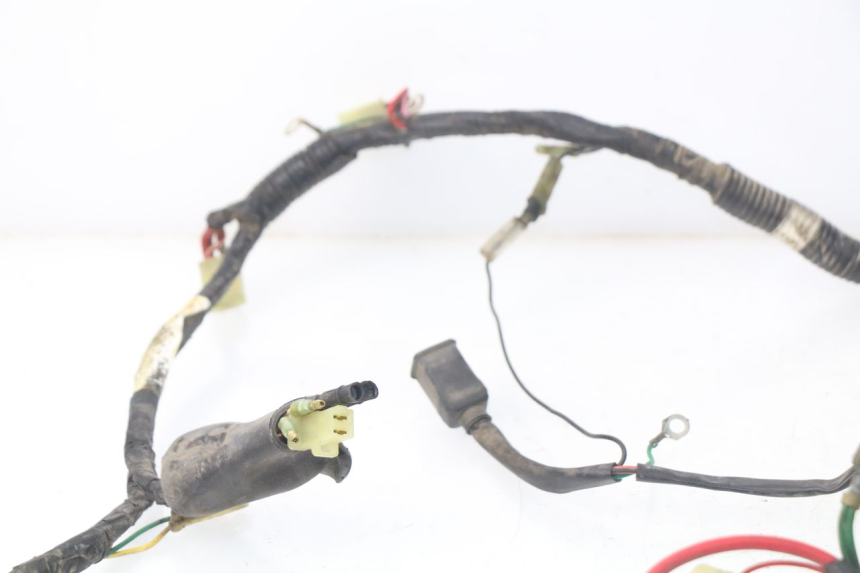 photo de WIRE HARNESS PEUGEOT SC 50 (1988 - 1992) - Alternative perspective