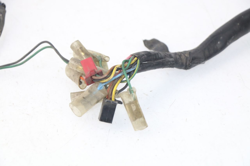 photo de WIRE HARNESS PEUGEOT SC 50 (1988 - 1992) - Fixing points details