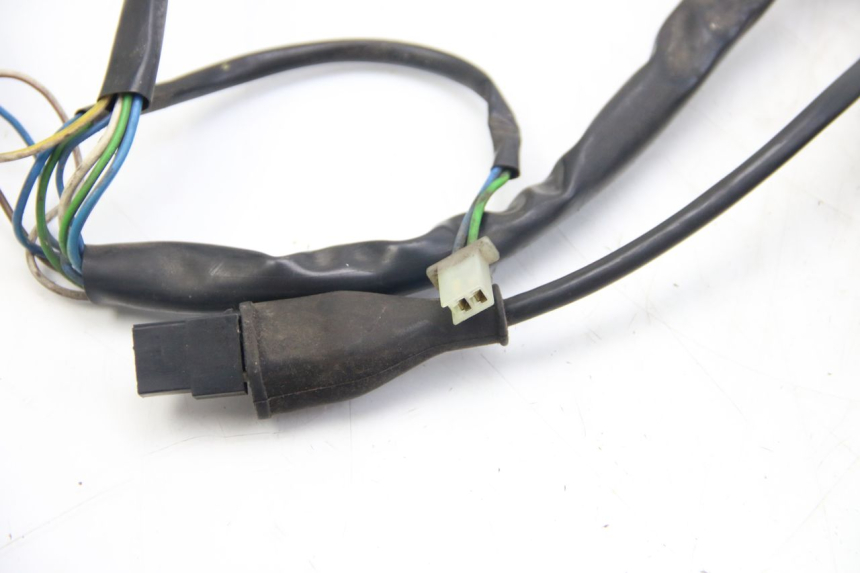 photo de WIRING HARNESS APRILIA SCARABEO 4T 50 (2009 - 2017) - Distinctive features
