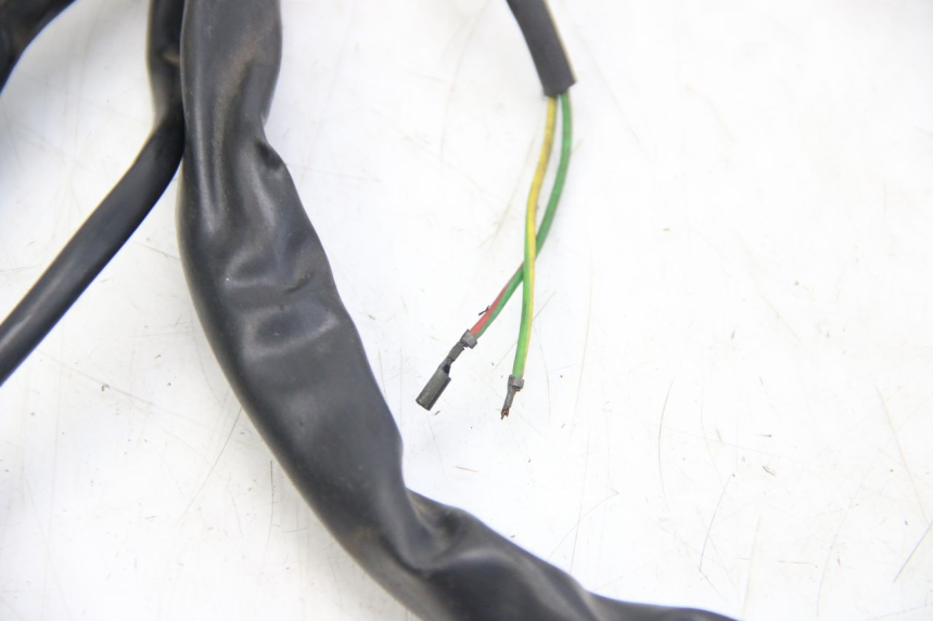 photo de WIRING HARNESS APRILIA SCARABEO 4T 50 (2009 - 2017) - Markings and original references
