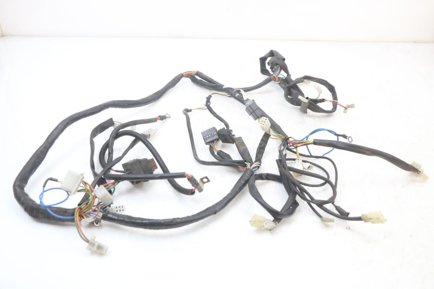photo de WIRE HARNESS APRILIA SCARABEO GT 125 (1999 - 2007) - Main view