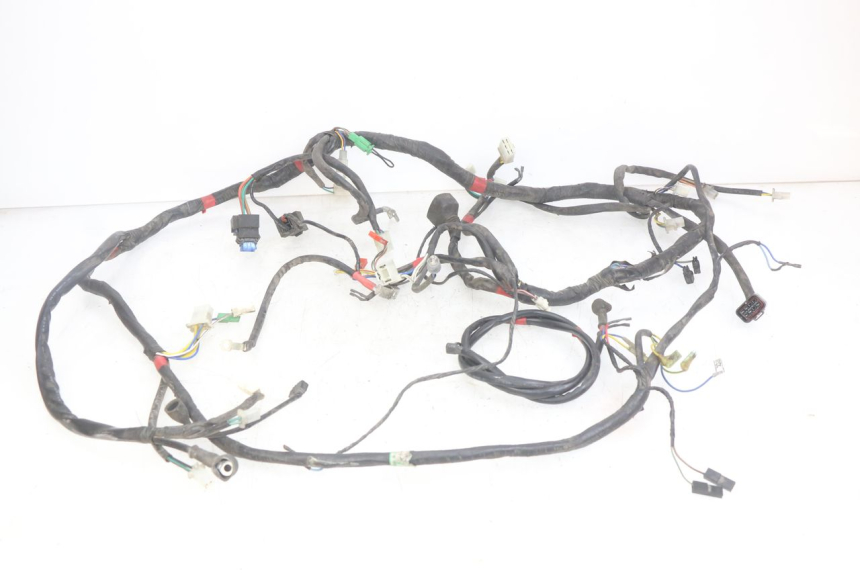photo de WIRING HARNESS APRILIA SCARABEO LIGHT 125 (2007 - 2011) - Main view