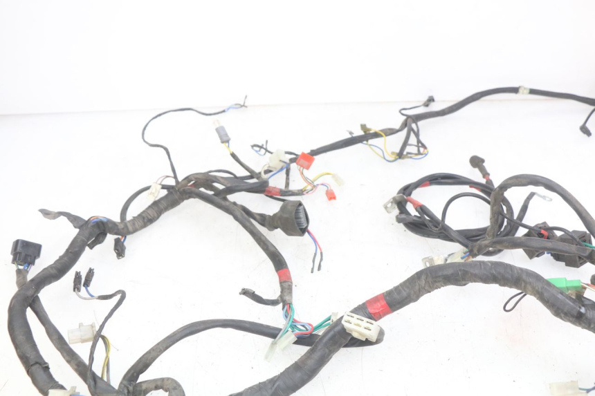 photo de WIRING HARNESS APRILIA SCARABEO LIGHT 125 (2007 - 2011) - Component detail