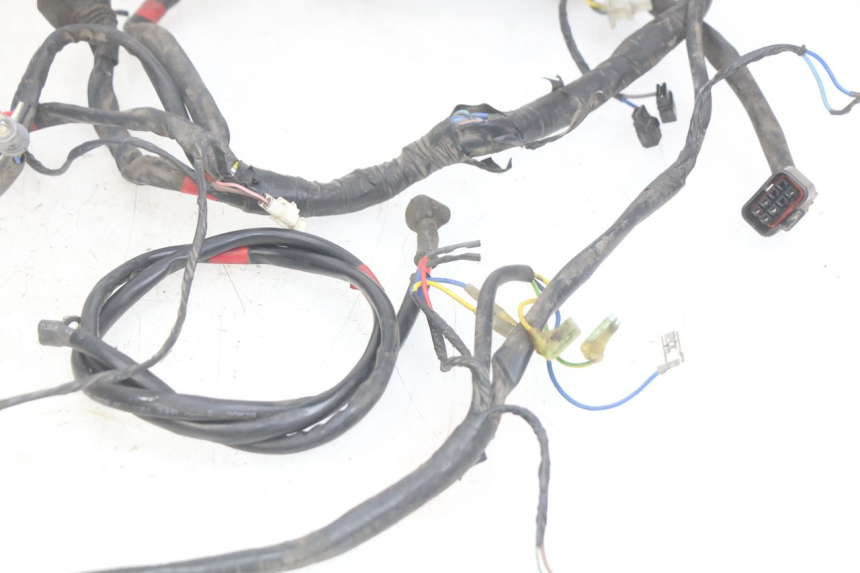 photo de WIRING HARNESS APRILIA SCARABEO LIGHT 125 (2007 - 2011) - Product overview