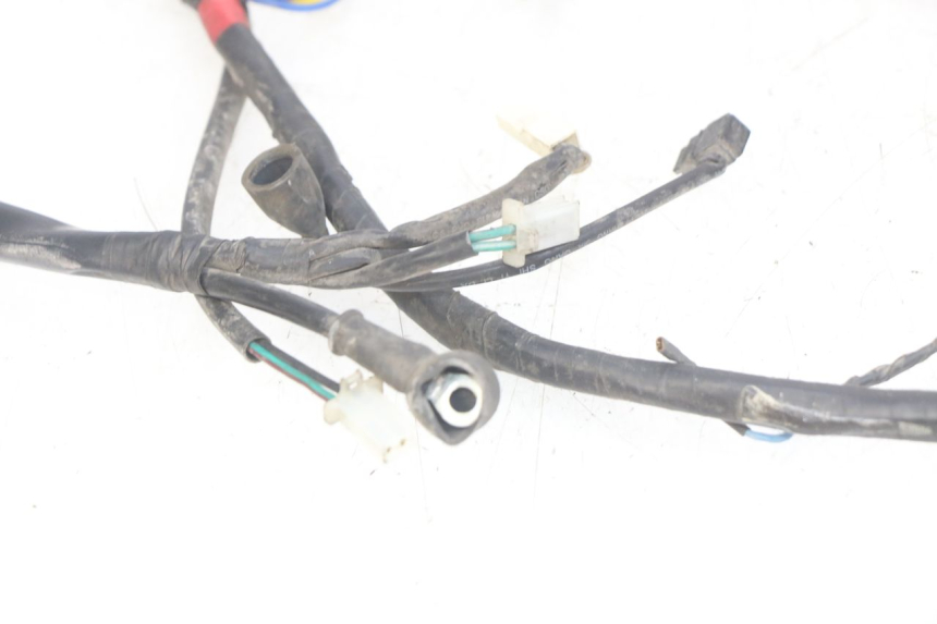photo de WIRING HARNESS APRILIA SCARABEO LIGHT 125 (2007 - 2011) - Markings and original references