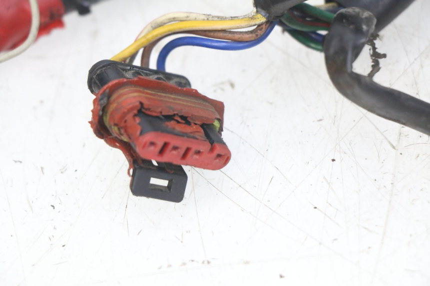 photo de WIRING HARNESS APRILIA SCARABEO 100 (2003 - 2012) - Component detail