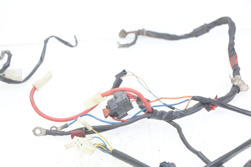 photo de WIRING HARNESS APRILIA SCARABEO 100 (2003 - 2012) - Alternative perspective
