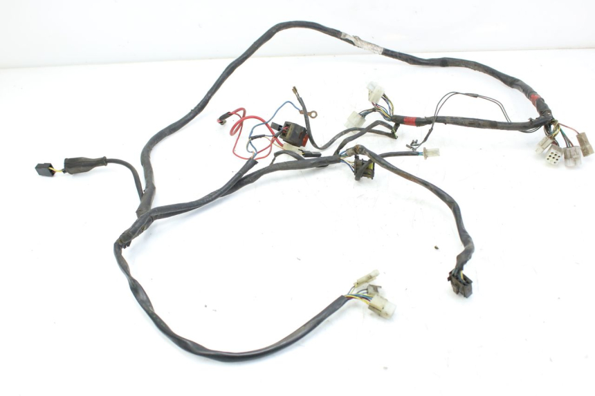 photo de WIRING HARNESS APRILIA SCARABEO 100 (2003 - 2012) - Main view