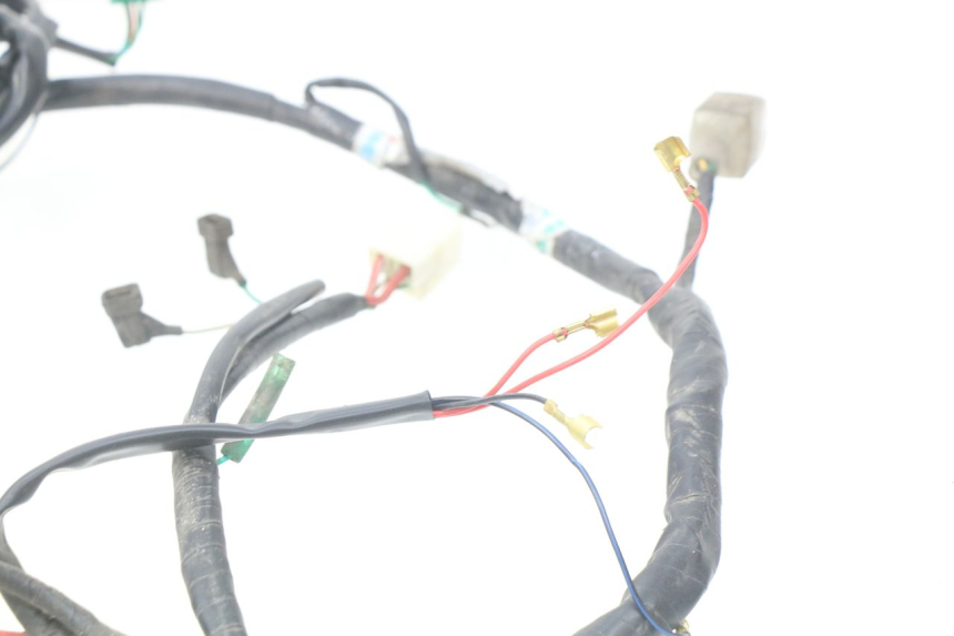 photo de WIRE HARNESS KYMCO SENTO 50 (2008 - 2013) - Alternative perspective