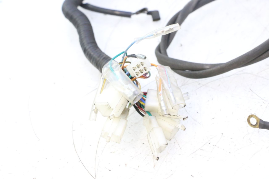 photo de WIRE HARNESS MASH SEVENTY FIVE 125 (2013 - 2021) - Detailed visual inspection
